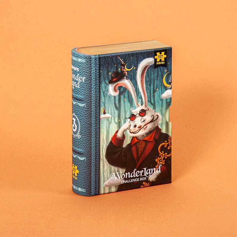 پازل کیدفنز کد2429